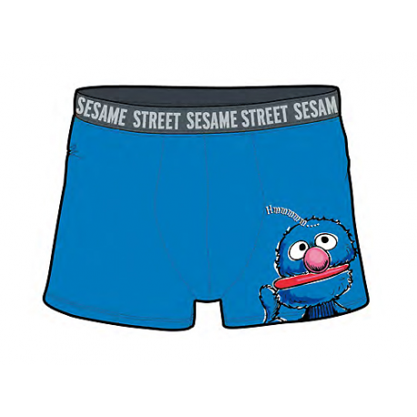 Sesame Street Lycra boxer.
