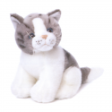 Petite peluche Chat.