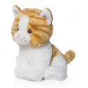 Cat Small Plush.