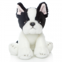 Moyenne peluche Bouledogue Français.